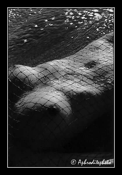 43 Perles d eau sous un filet